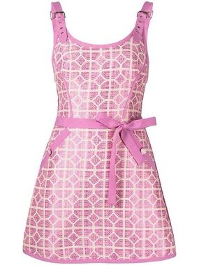 Alexis Pink and White Mini Dress with Belt
